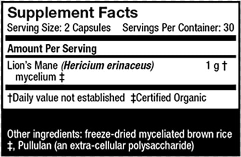 Document  HD Png DownloadTransparent PNG