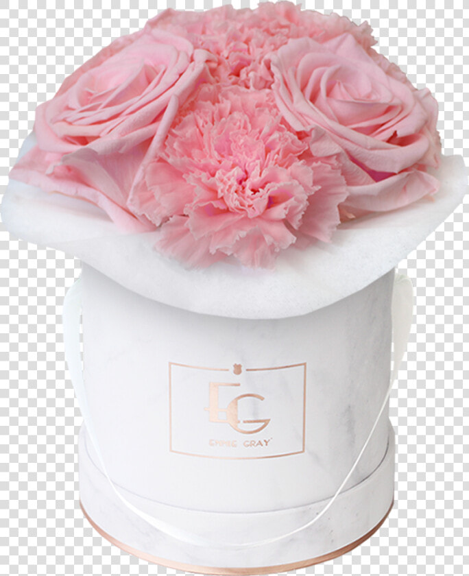 Rosa × Centifolia  HD Png DownloadTransparent PNG