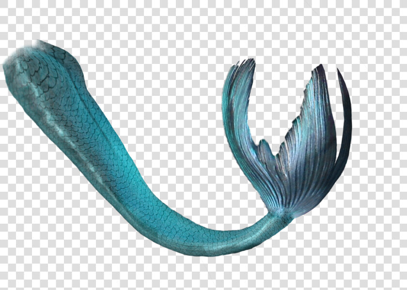 Mermaid Tail Blue   Green Mermaid Tail Transparent  HD Png DownloadTransparent PNG