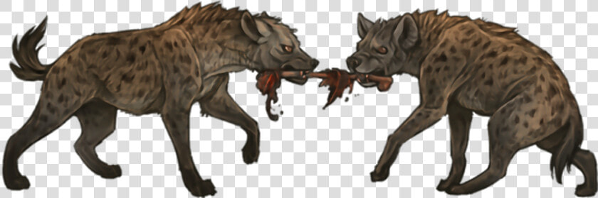 Spotted Hyena  HD Png DownloadTransparent PNG