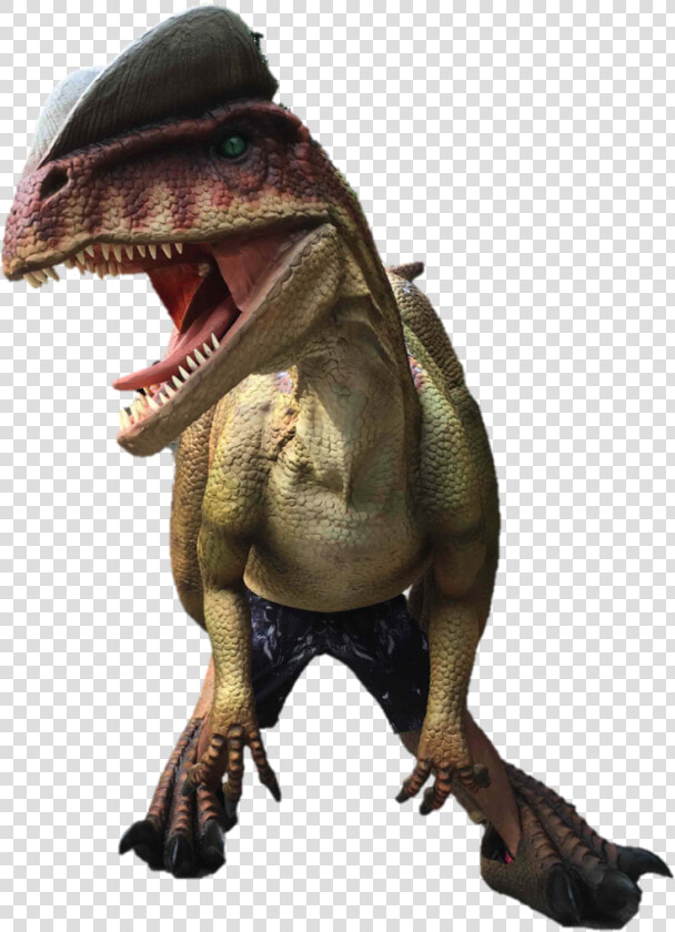 Tyrannosaurus  HD Png DownloadTransparent PNG