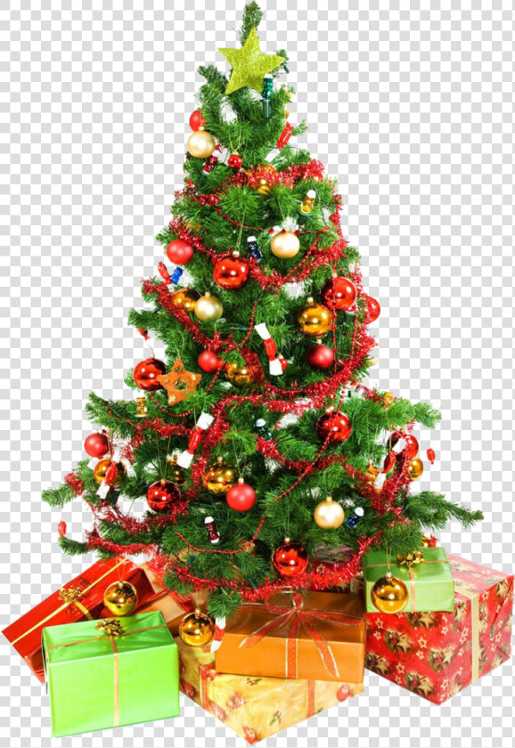 Xmas Tree Png 12 By Iamszissz   White Background Christmas Tree  Transparent PngTransparent PNG