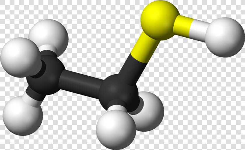 Ball And Stick Model Of The Ethanethiol Molecule   Ethanethiol  HD Png DownloadTransparent PNG