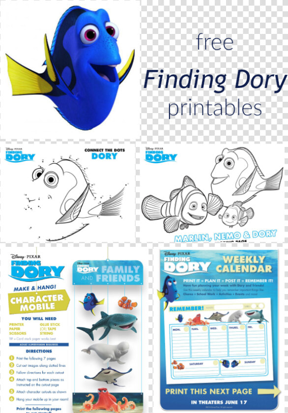 Finding Dory Collage   Finding Dory Movie Worksheet  HD Png DownloadTransparent PNG