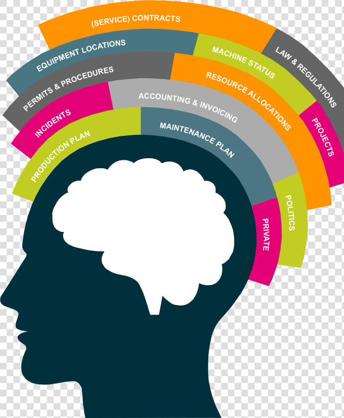 So All Necessities Are Planned Along With The Maintenance   Brain In Head Clipart  HD Png DownloadTransparent PNG