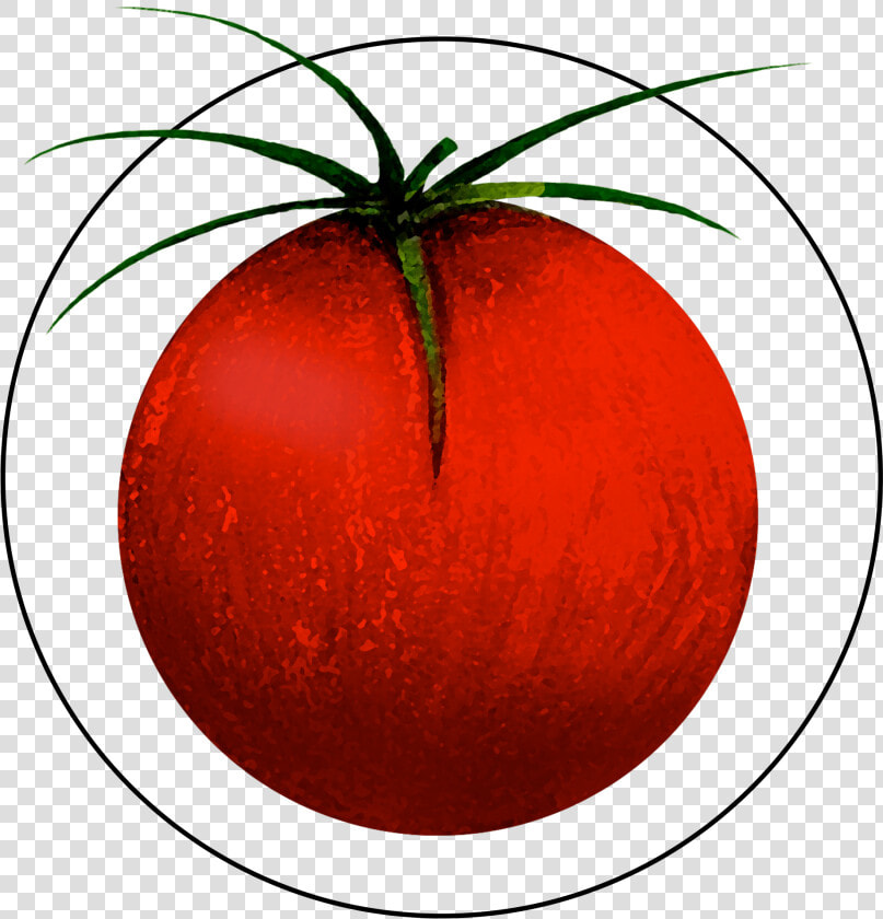 Attribute Motif Tomato   Tomato  HD Png DownloadTransparent PNG