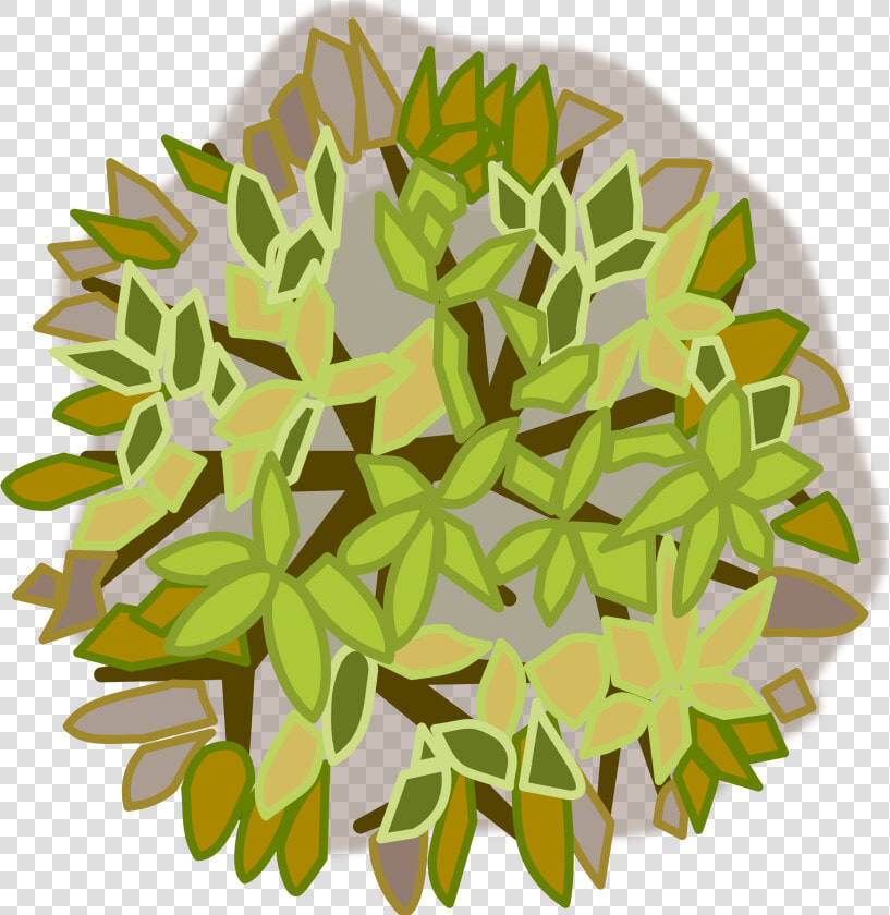 Plant Stem plant flower  HD Png DownloadTransparent PNG