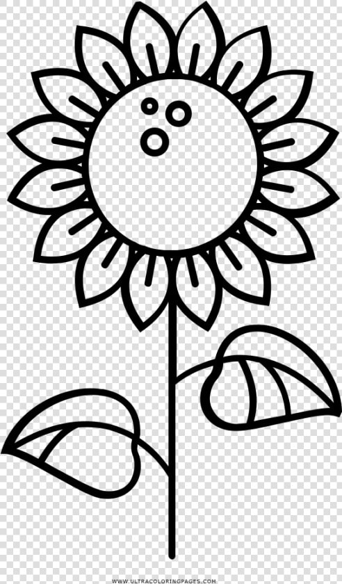 Sunflower Coloring Page   Asp Convent English High School Logo  HD Png DownloadTransparent PNG