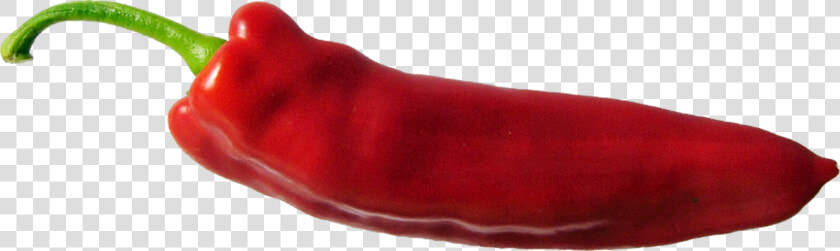 Chilli   Png Download   Tabasco Pepper  Transparent PngTransparent PNG