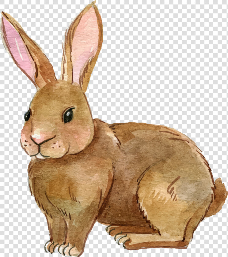 Transparent Alice In Wonderland Rabbit Png   Rabbit Clipart Transparent  Png DownloadTransparent PNG