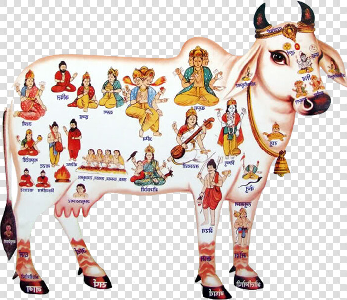 Krishna Clipart Gomatha   Krishna With Cow Png  Transparent PngTransparent PNG