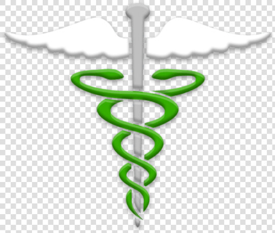 Caduceus Clipart   Symbol  HD Png DownloadTransparent PNG