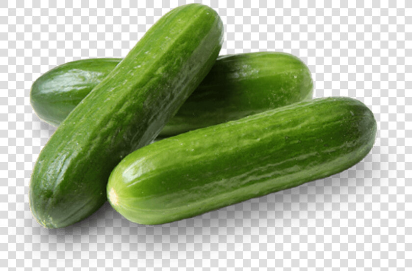 Three Bulk Pure Flavor Poco Bites Cucumbers   Cucumber  HD Png DownloadTransparent PNG