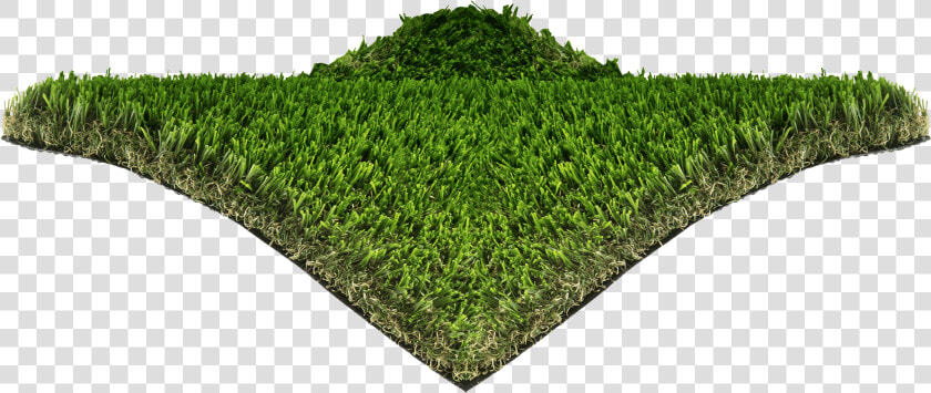 Hedge  HD Png DownloadTransparent PNG