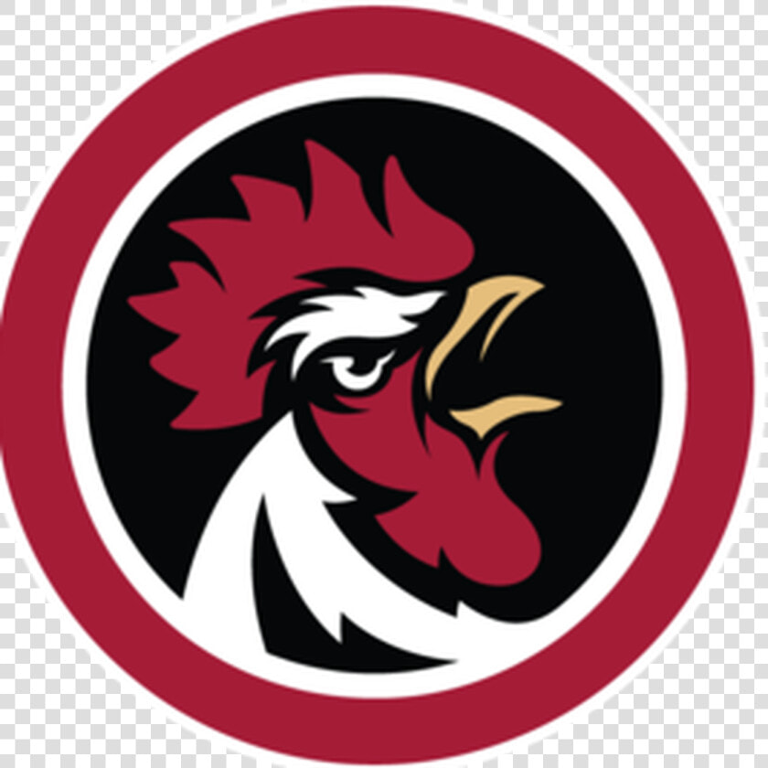 An Interview With Former Gamecock Baseball Player Drew   Logo Esport Transparent Chicken  HD Png DownloadTransparent PNG