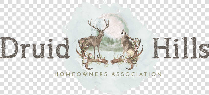 Druid Hills Hoa Florissant Colorado   2015 Debeschaving  HD Png DownloadTransparent PNG