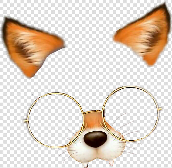  fox  filtro  filtre  filtrodezorro  snow  png  filtrefox   Filtro De Zorro Con Lentes Png  Transparent PngTransparent PNG