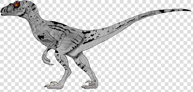 Velociraptor  HD Png DownloadTransparent PNG