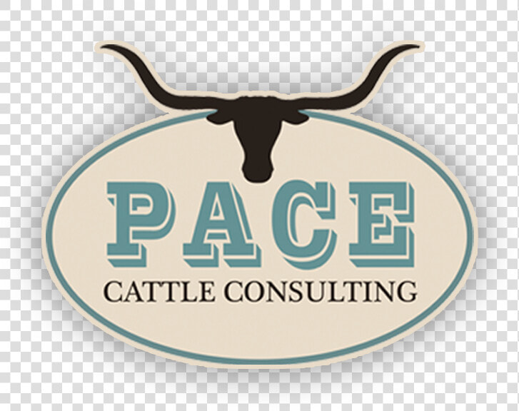 Transparent Texas Longhorns Png   Texas Longhorns  Png DownloadTransparent PNG