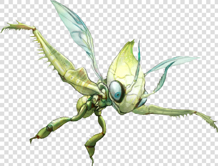 Pokémon X And Y Insect Invertebrate Fauna Membrane   Realistic Pokemon Png  Transparent PngTransparent PNG