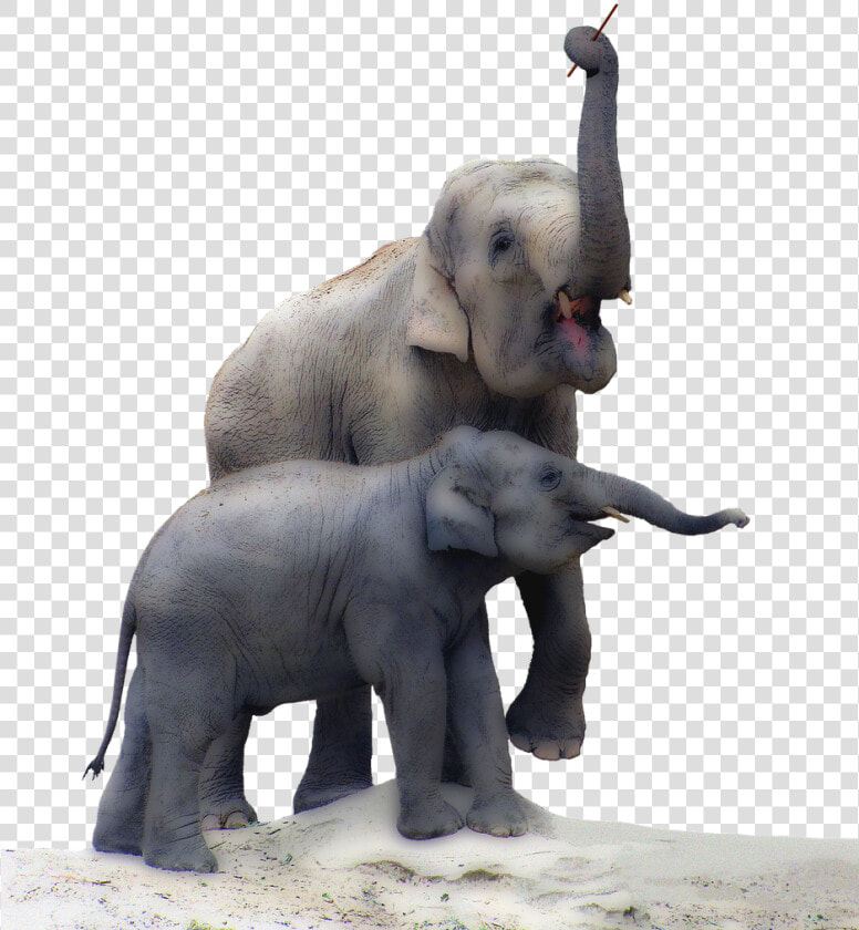 Transparent Elephant Trunk Png   Elephant Png Real  Png DownloadTransparent PNG