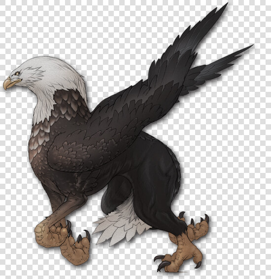 Terra Battle Wiki   Buzzard  HD Png DownloadTransparent PNG