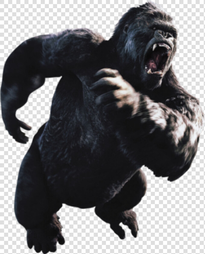  gorilla  kong  kingkong   King Kong En Png  Transparent PngTransparent PNG