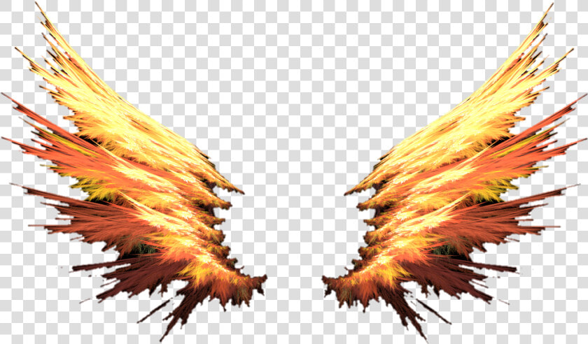 Fire Wings Png   Asas Free Fire Png  Transparent PngTransparent PNG