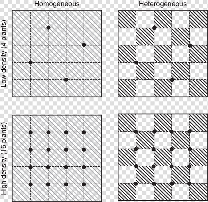 Squares Design Png  Transparent PngTransparent PNG