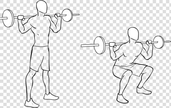 Squat   Png Download   Powerlifting  Transparent PngTransparent PNG