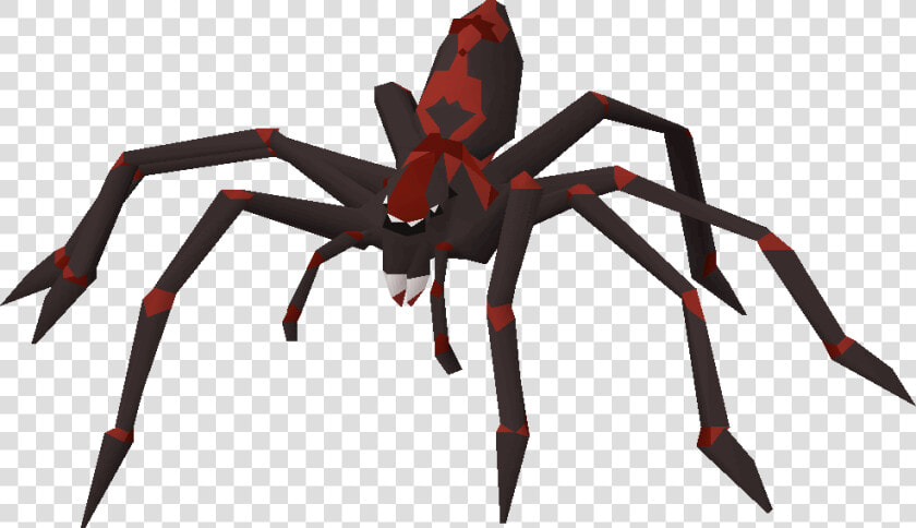 Tarantula  HD Png DownloadTransparent PNG