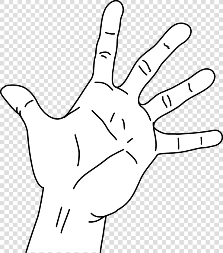 Hand Span Measurement Clipart  HD Png DownloadTransparent PNG