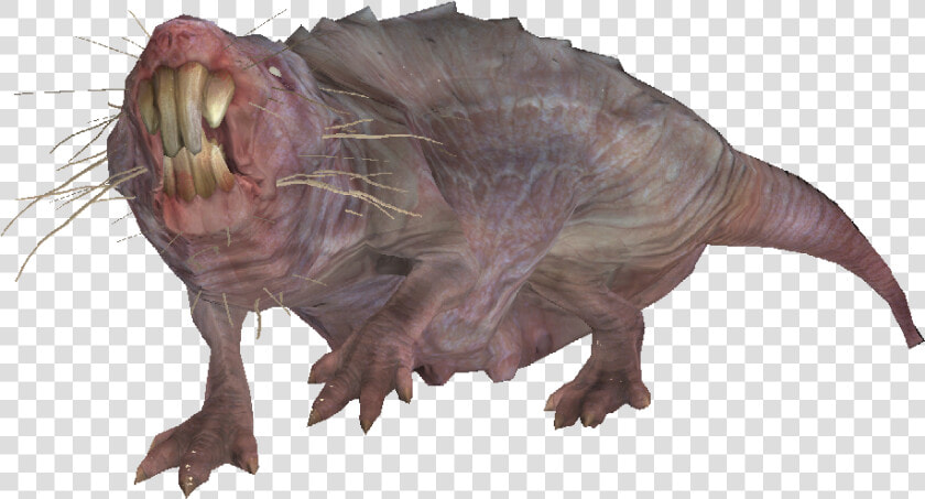 Encmolerat04   Mole Rat From Fallout  HD Png DownloadTransparent PNG