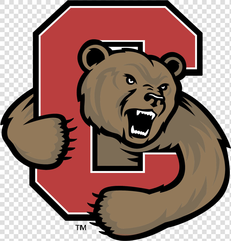 Cornell Big Red Logo Png Transparent   Cornell Big Red  Png DownloadTransparent PNG