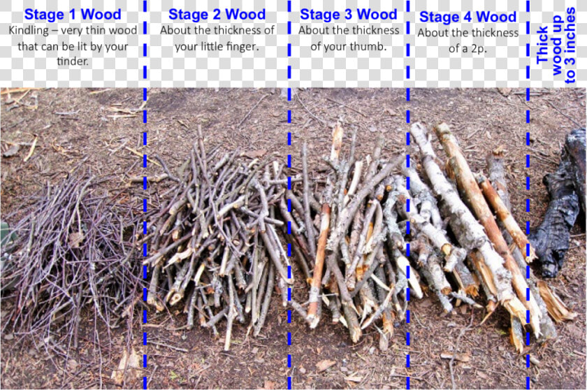 Transparent Wood Pile Png   Different Stages Of Wood  Png DownloadTransparent PNG