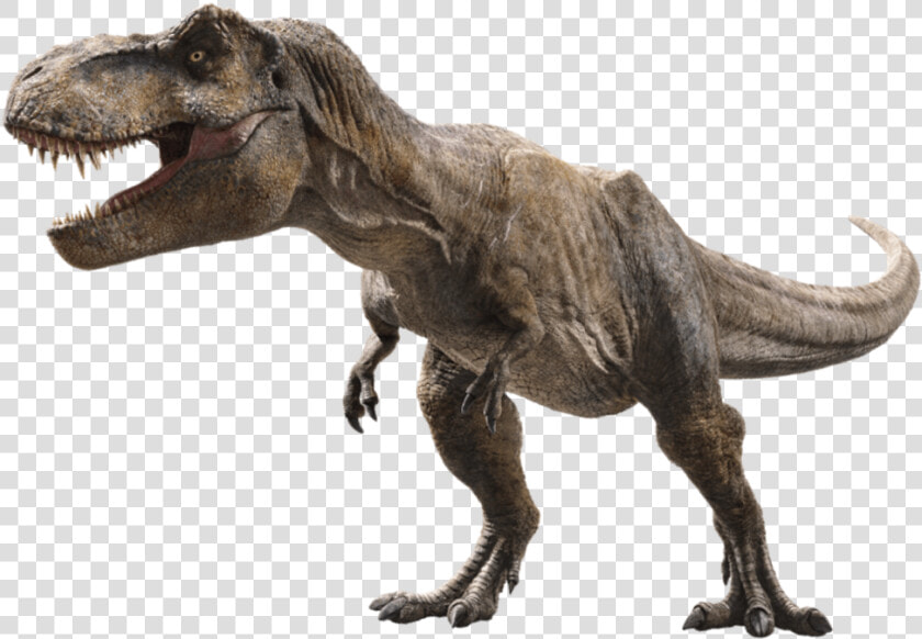 Trex Png Scar   Jurassic World Fallen Kingdom T Rex Png  Transparent PngTransparent PNG