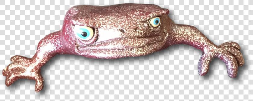 Bufo  HD Png DownloadTransparent PNG