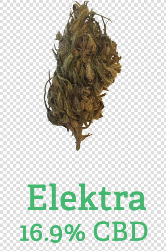 Elektra Png  Transparent PngTransparent PNG