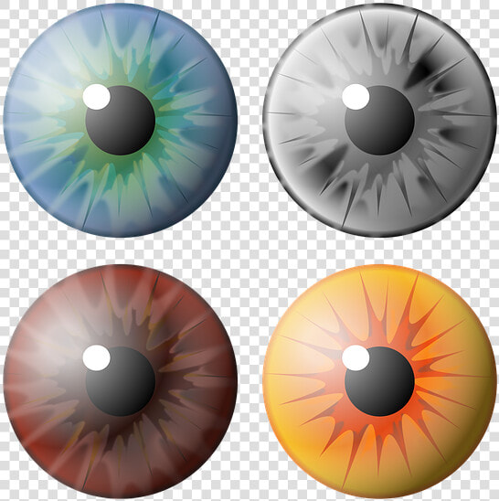 Ojo  Pupila  Iris  Ver  Visión  Ojos De Color  Azul   Pupila Ojo Png De Colores  Transparent PngTransparent PNG