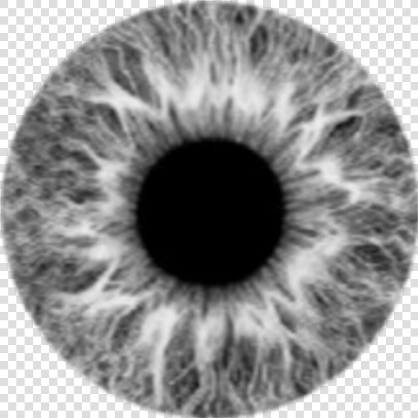  grey  lens  eye  eyes  moon  gri  lens  göz   Gray Eye Lens Png  Transparent PngTransparent PNG