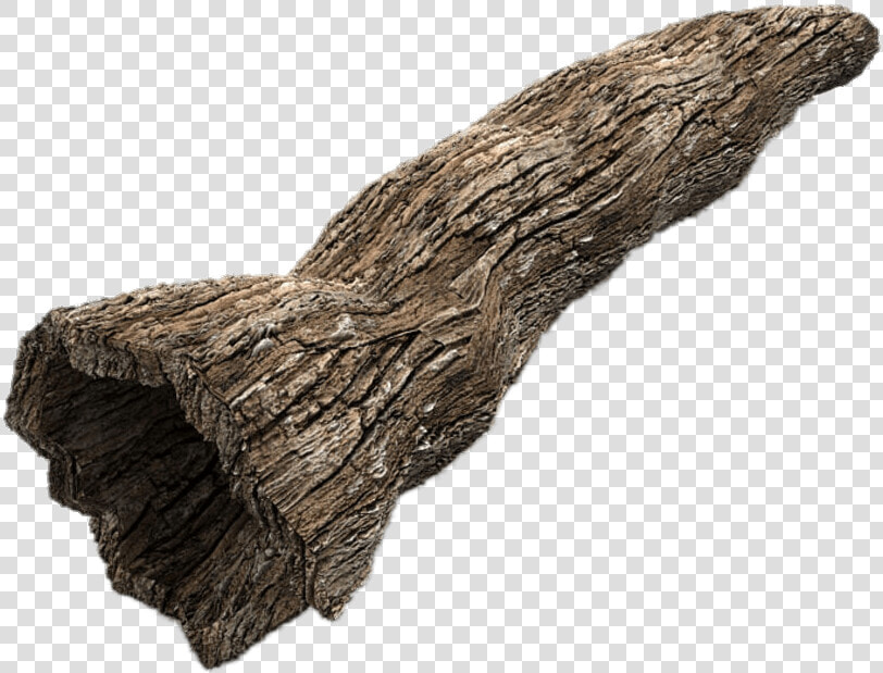 Hollow Tree Trunk   Tree Trunks Png  Transparent PngTransparent PNG