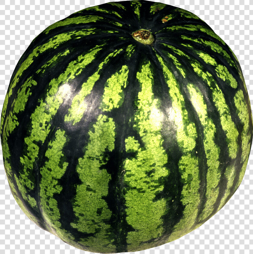 Download Watermelon Png Image Png Image Pngimg   Watermelon Png  Transparent PngTransparent PNG