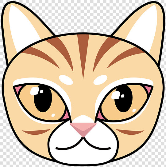 Cat  Winner Of The Tabby  Animal  Cute  Cartoon  Kitty   Asian  HD Png DownloadTransparent PNG