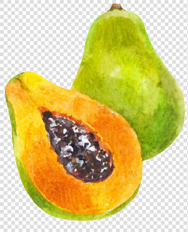 Hand Painted A Half Papaya Png Transparent   Portable Network Graphics  Png DownloadTransparent PNG