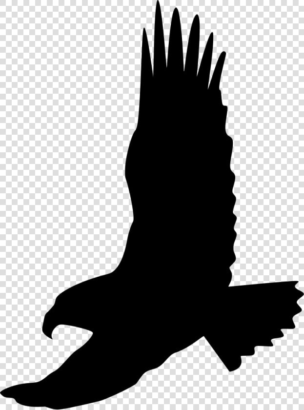 Flying Eagle Symbol Clipart   Png Download   Portable Network Graphics  Transparent PngTransparent PNG