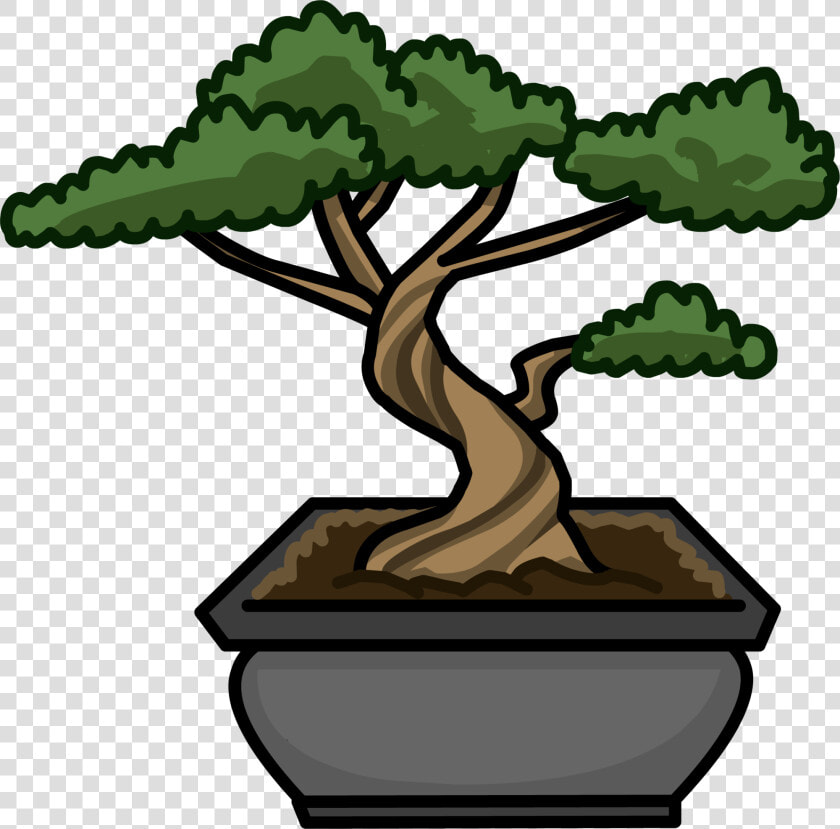 Transparent Bonsai Tree Png   Cartoon Bonsai Tree Png  Png DownloadTransparent PNG