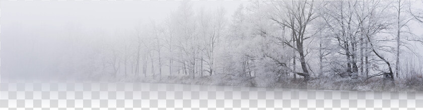 Transparent Falling Snow Png   Snow  Png DownloadTransparent PNG