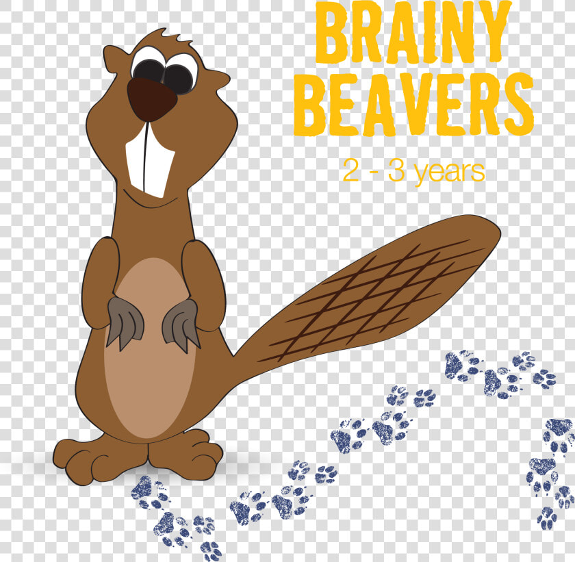 Brainy Beavers Wait List Registration   Cartoon  HD Png DownloadTransparent PNG