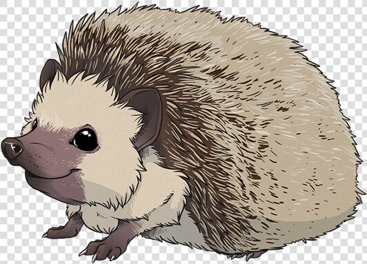 Download Hedgehog Png Transparent Images Transparent   Hedgehog  Png DownloadTransparent PNG