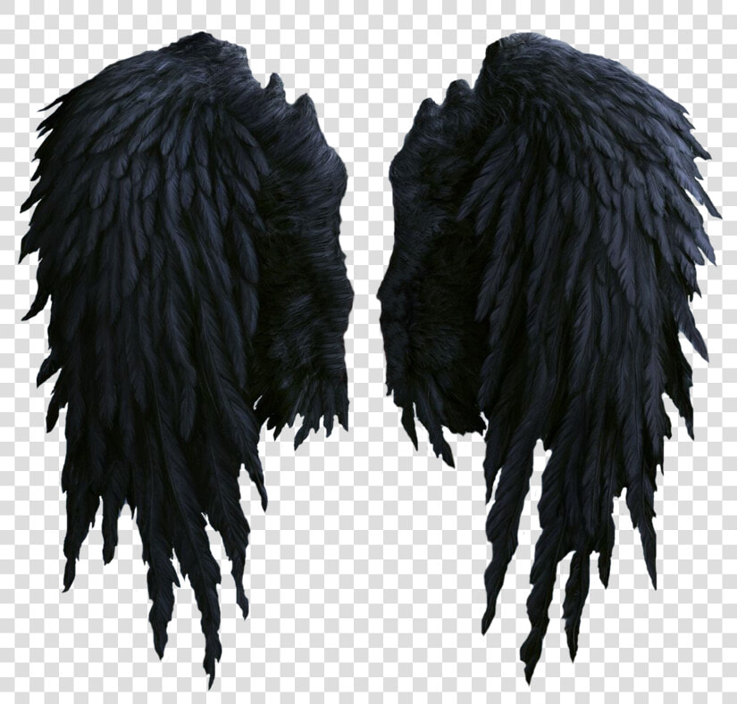 Black Wings Png Image   Realistic Black Angel Wings Png  Transparent PngTransparent PNG